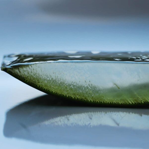 Aloe Vera Juice for LPR & GERD Dr. Jamie Koufman