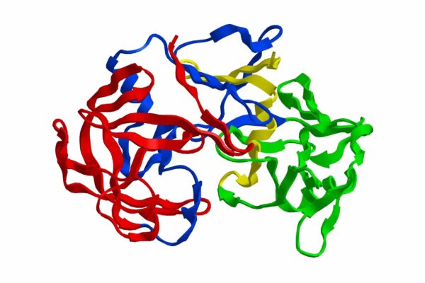 Rethinking Acid Reflux: The Real Culprit Isn’t Acid—It’s Pepsin - Dr ...