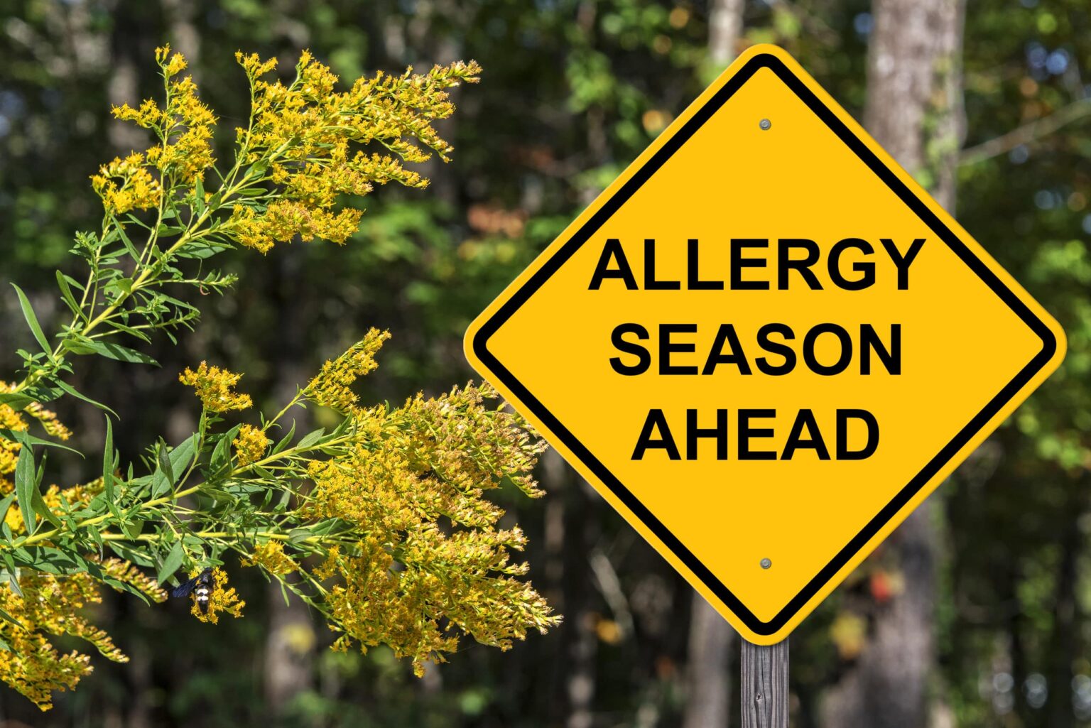 Can Allergies Cause Acid Reflux Dr Jamie Koufman