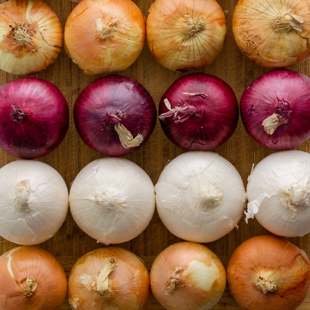 Do Onions Cause Heartburn And Acid Reflux Dr Jamie Koufman